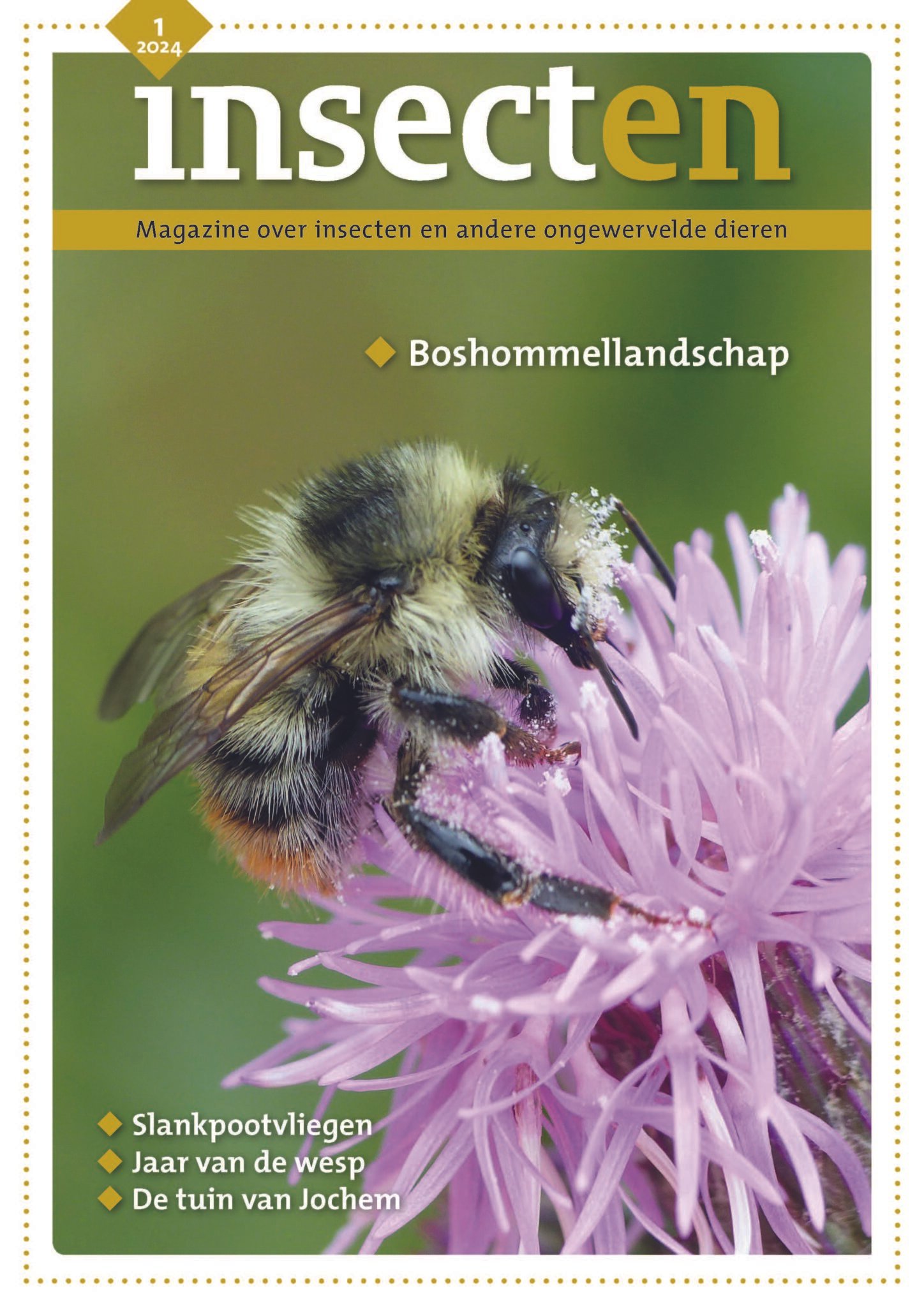 magazine insecten