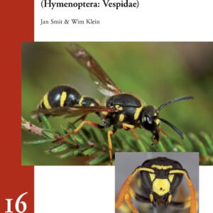 ET 16 - Plooivleugelwespen