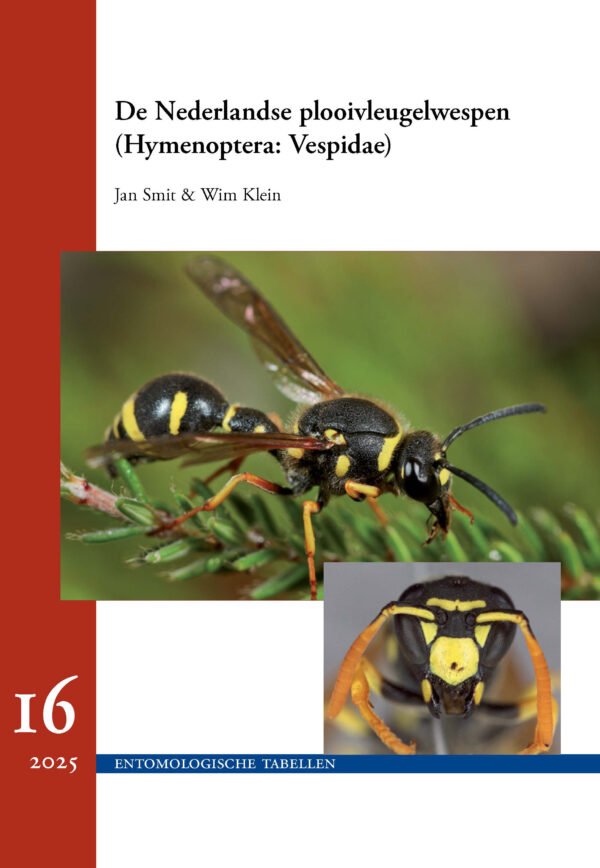 ET 16 - Plooivleugelwespen